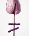 WAVE HAIR CLIP - PURPLE