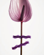 WAVE HAIR CLIP - PURPLE