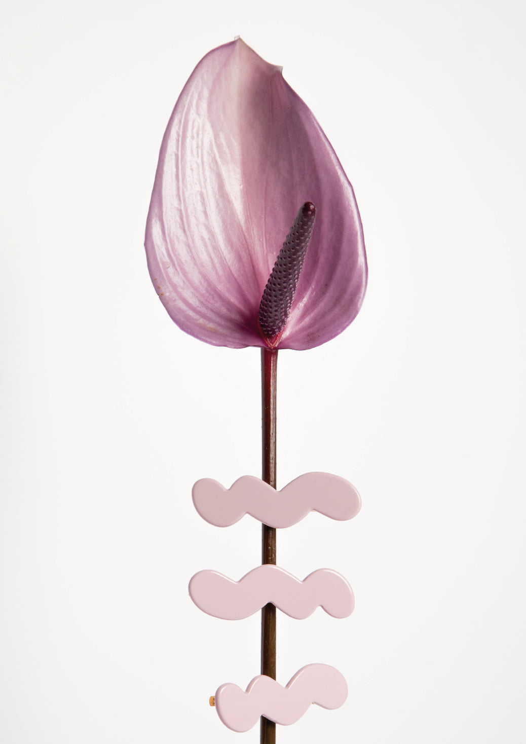 SEA FOAM HAIR CLIP - LILAC