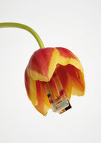 NOT SO CLASSIC HAIR CLIP - MULTICOLORED