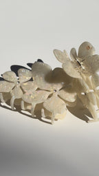 LILY FLOWER CLAW - WHITE